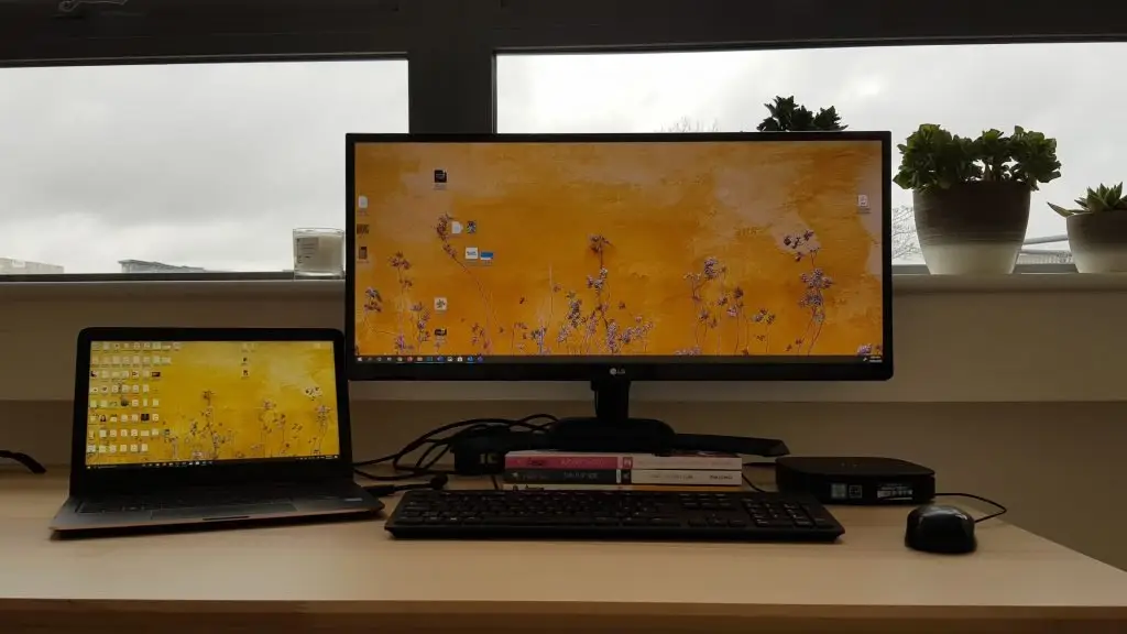 Amira Bird's ideal setup for working from home